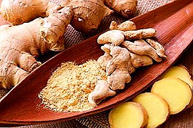 Magic Ginger Root: Does Pressure Reduce or Increase? Recipes for healthy recipes