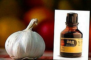 Remedio mágico para muchas enfermedades: tintura de yodo con ajo.