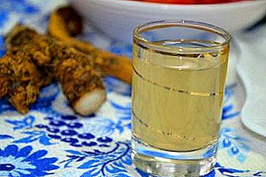 The harm and benefits of horseradish with honey, ginger, lemon and other ingredients. Tincture Recipes