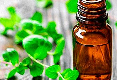 All about the miraculous essential oil of marjoram. Properties, application and many other useful information.