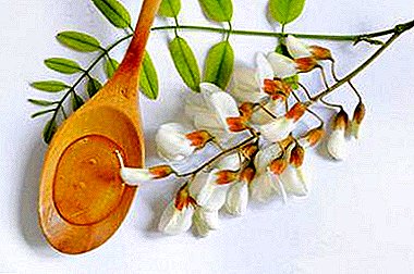 Totul despre delicatetea albă de acacia: proprietăți utile ale mierei, domeniul său de aplicare și prețurile produselor