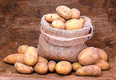 Todo sobre el almacenamiento adecuado de las patatas en la tienda de verduras: condiciones, temperatura, pasos y métodos.