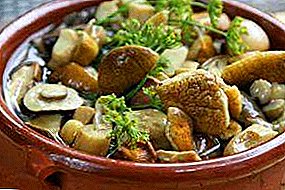 All about pickled mushrooms: differences from other types of preservation, benefit and harm, cooking recipes and storage features