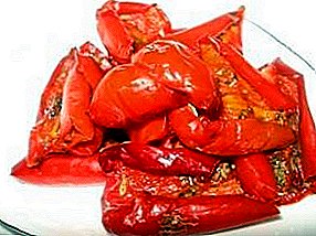 Posušene paprike: metode domačih jedi in recepti