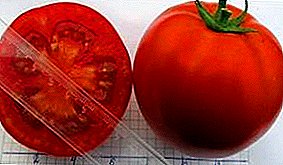 La novedad del siglo XXI - variedad de tomate "Olya" f1: características principales, descripción y foto.