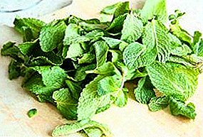 Mint harvesting - secrets of drying and storage