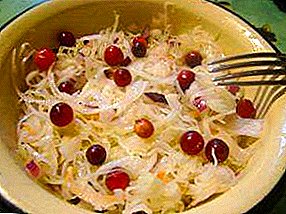 Sourdough cabbage with cranberries