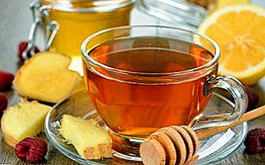Eine verlockende Art, Gewicht zu verlieren, ist grüner Tee mit Ingwer. Das Hinzufügen von Zitrone und Honig ist willkommen!