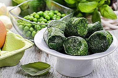 Spinach freeze: how to do it right, and what methods of harvesting are better suited for winter storage?