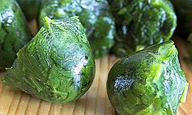 Des verts pour la table d’hiver: est-il possible de congeler du persil et comment le faire correctement?