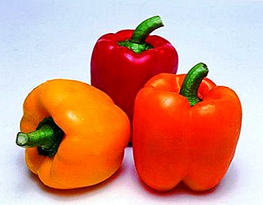 9 delicious bell peppers. How to choose the best grade?