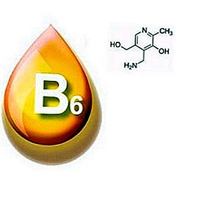 Kan forårsake alvorlig kroppslig skade B6 vitaminmangel hos kyllinger