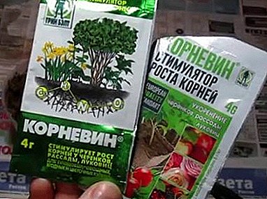 Quel est le bon Kornevin, si vous avez besoin de faire pousser les racines d’une orchidée? Quoi d'autre est un moyen efficace?