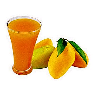 Mango egzotik meyvesi: sağlık yararları