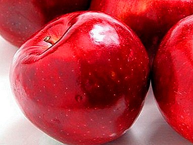 Aceste mere sunt iubite în întreaga lume - Jonathan