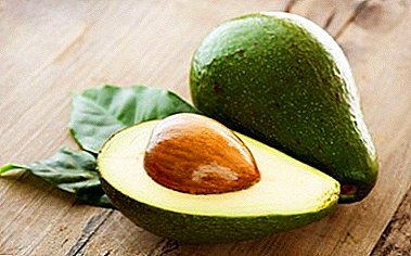 Avocado Fruit: kan ik het thuis laten groeien? Wat zijn de gunstige eigenschappen en is er schade?