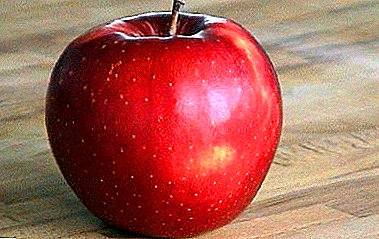 توضح شجرة تفاح Bryansky معدل بقاء جيد وحصانة عالية.