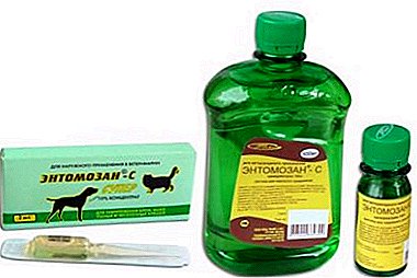 Instructions for use "Entomozan C" for chickens: how to dilute the drug and process the birds?