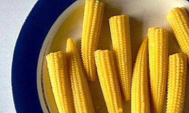 How to cook and how to cook a mini-corn?