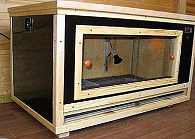 How to make a brooder for growing chickens with your own hands and how to keep it?