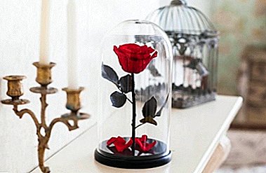 How to make an interesting and beautiful thing - a rose in a flask? Step by Step instructions