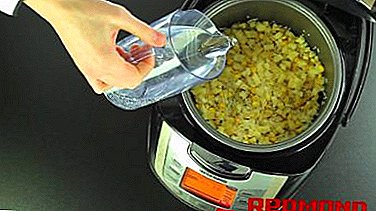 ¿Cómo cocinar el maíz en un Multicooker Redmond? Recetas utiles