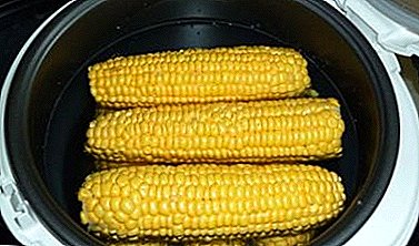 ¿Qué tan sabroso y adecuadamente cocinar el maíz en Panasonic multicooker?