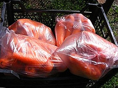 What conditions must be observed for storing carrots and beets for the winter in the basement with the help of packages?