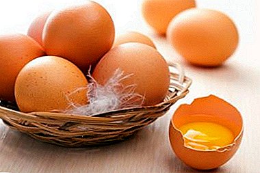 Koks yra žaliavinių vištienos kiaušinių laikymo laikas kambario temperatūroje pagal SanPiN?