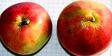 Krásne a chutné jablká dodajú odrode Screen