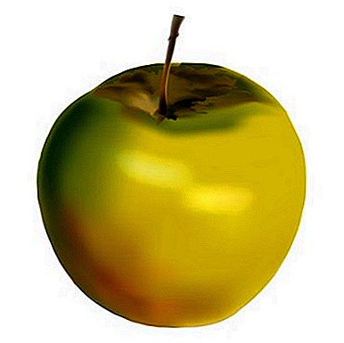 يتم إعطاء ثمار جميلة ذات قيمة بيولوجية عالية لنا من قبل أشجار التفاح الجنوبي متنوعة.