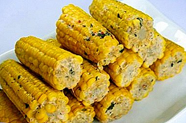 Corn: how to cook, so that it was soft and juicy?