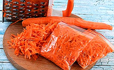 Adakah mungkin membekukan wortel untuk musim sejuk dalam bentuk parut, rebus atau keseluruhan? Kami menerangkan kaedah pemuliharaan