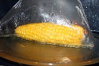 You do not know how quickly cook corn in the microwave in the package? We will tell you!