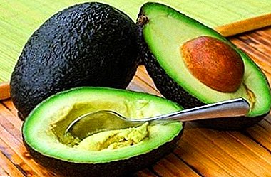 Ongebruikelijke avocado-klasse - Hass (zwart)