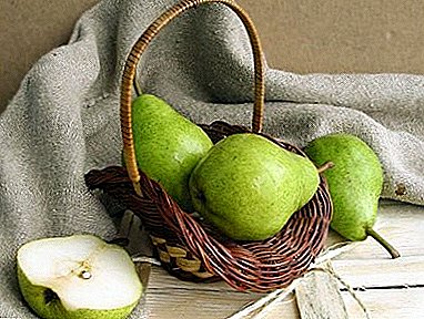 La table du Nouvel An décorera les variétés de poires Janvier