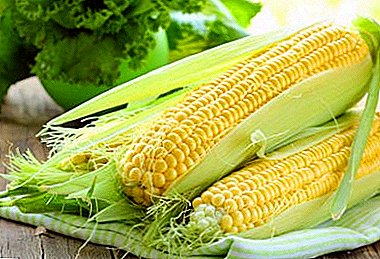 About the benefits and methods of cooking yellow cereal. What delicious salads can be made with corn, including canned?