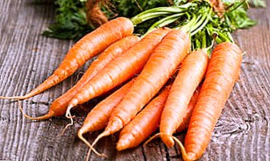 Bagaimana untuk menjaga wortel dalam balang dan dalam kotak untuk musim sejuk. Tips Gardeners yang berpengalaman