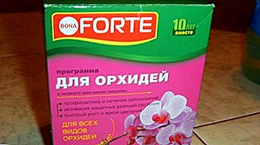 Orkide "Bona Forte" için popüler gübre gözden geçirilmesi. Kullanım talimatları