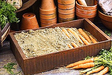 Features storage of carrots in the sand and which one is better to choose: dry or wet