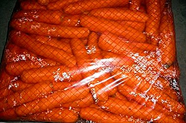 Grandes maneras de almacenar las zanahorias para el invierno. Consejos experimentados jardineros