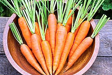 La lista de formas efectivas de guardar las zanahorias para el invierno en casa, si no hay bodega.