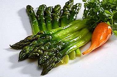 Ciri-ciri berguna Asparagus (asparagus) dan kemungkinan bahaya dari penggunaannya untuk kesihatan