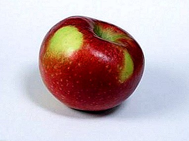 زراعة ورعاية التفاح الكندي متنوعة لوبو