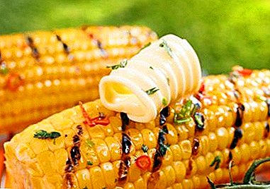 Recipes for making delicious corn dishes in a slow cooker. Step by step instructions with photos