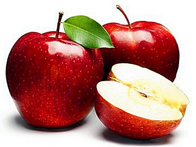 Sběr a skladování podzimních odrůd jablek: kdy sbírat a jaké ovoce odejít na zimu?