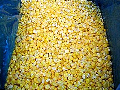 How much and how to cook corn, including frozen, and what can be cooked from it?