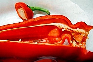 Sweet pepper "Ramiro": features of care and cultivation, photo