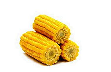 Housewife Tips - What Can Be Prepared From Corn On The Cob