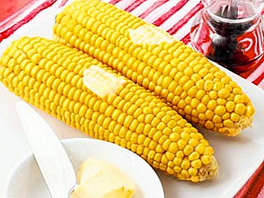 Ways of cooking corn in a saucepan: how to cook it so that it is soft and juicy?
